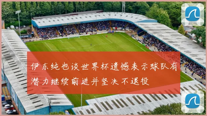 伊东纯也谈世界杯遗憾表示球队有潜力继续前进并坚决不退役